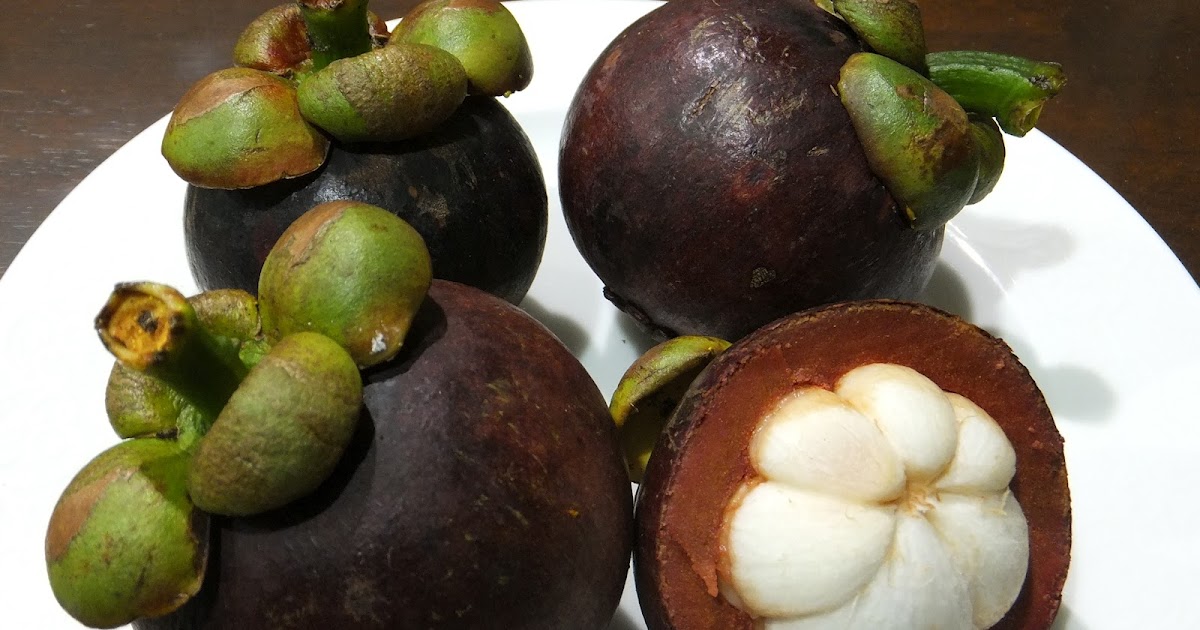 Mangosteen Tree and Fruit