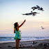 St. Francis Prayer to Birds - "Little Sisters"