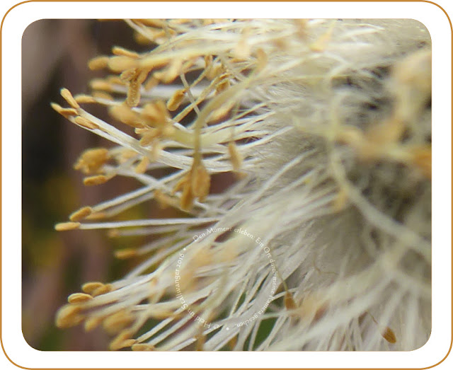 Soul And Mind And So On