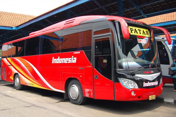 Bus Patas