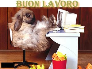 Auguri Nuovo Lavoro