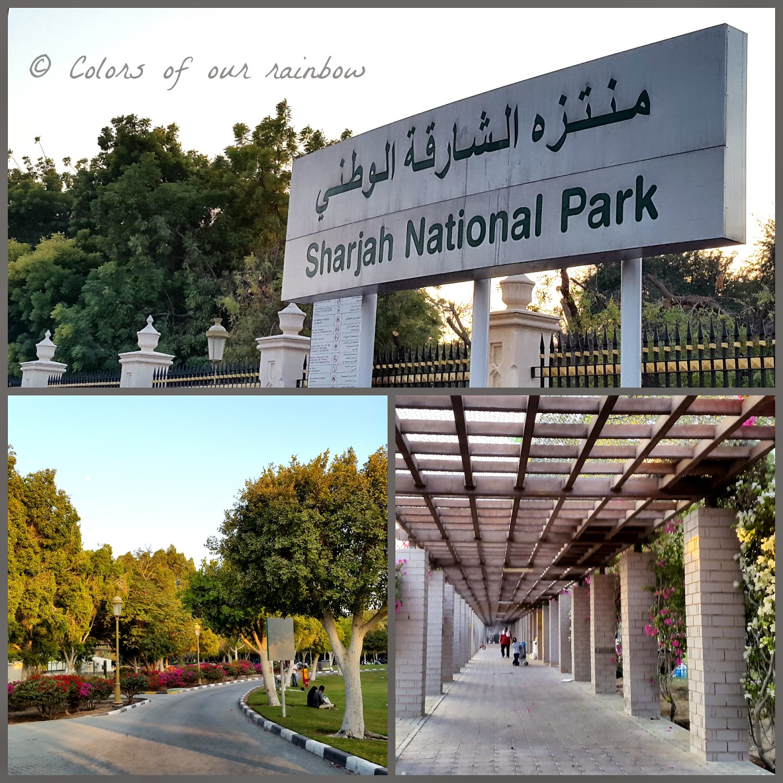 Colors of our Rainbow Naturetherapy Sharjah National Park