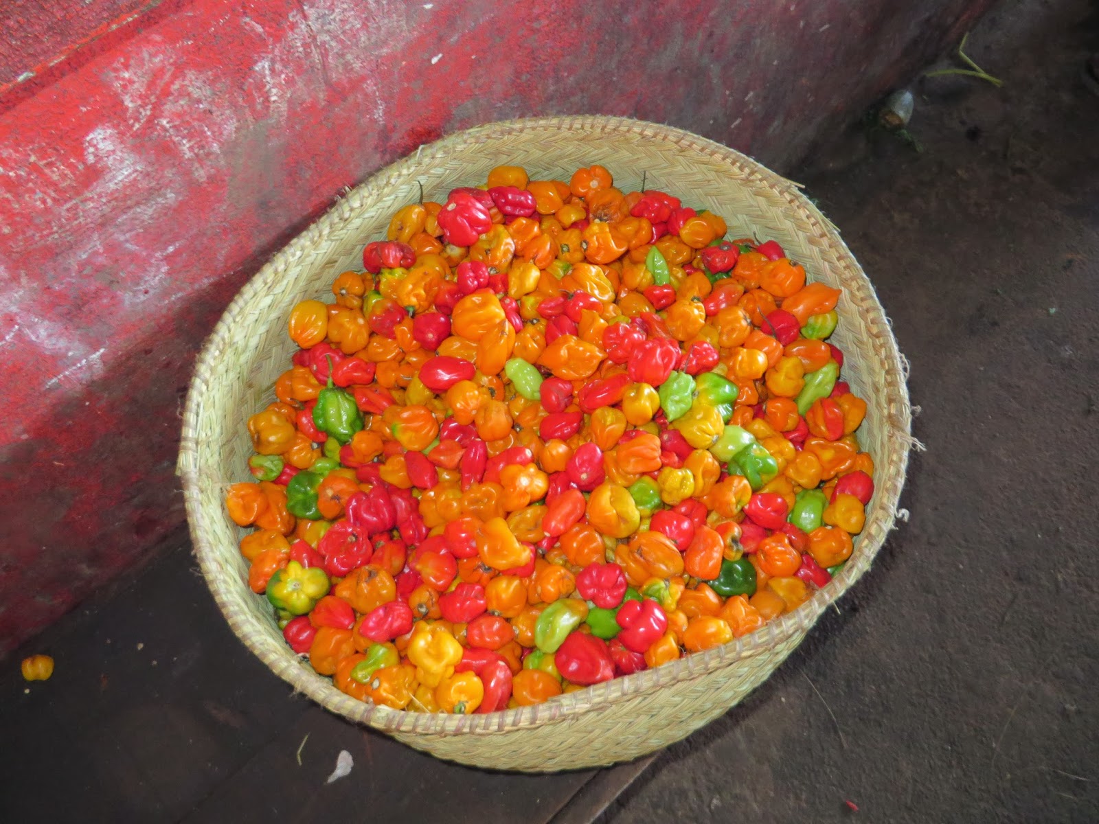 rencontre belle malgache
