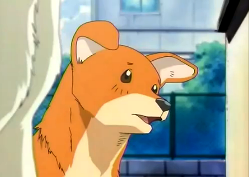 Get Suola Kuupielessa Massugu Ni Ikou For Android Free Wallpaper Suola Kuupielessa Massugu Ni Ikou For iPhone Free