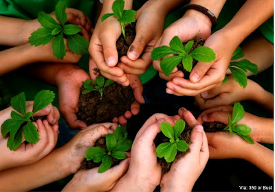 1.3 Conciencia ambiental - turismososteniblecarlavzqz