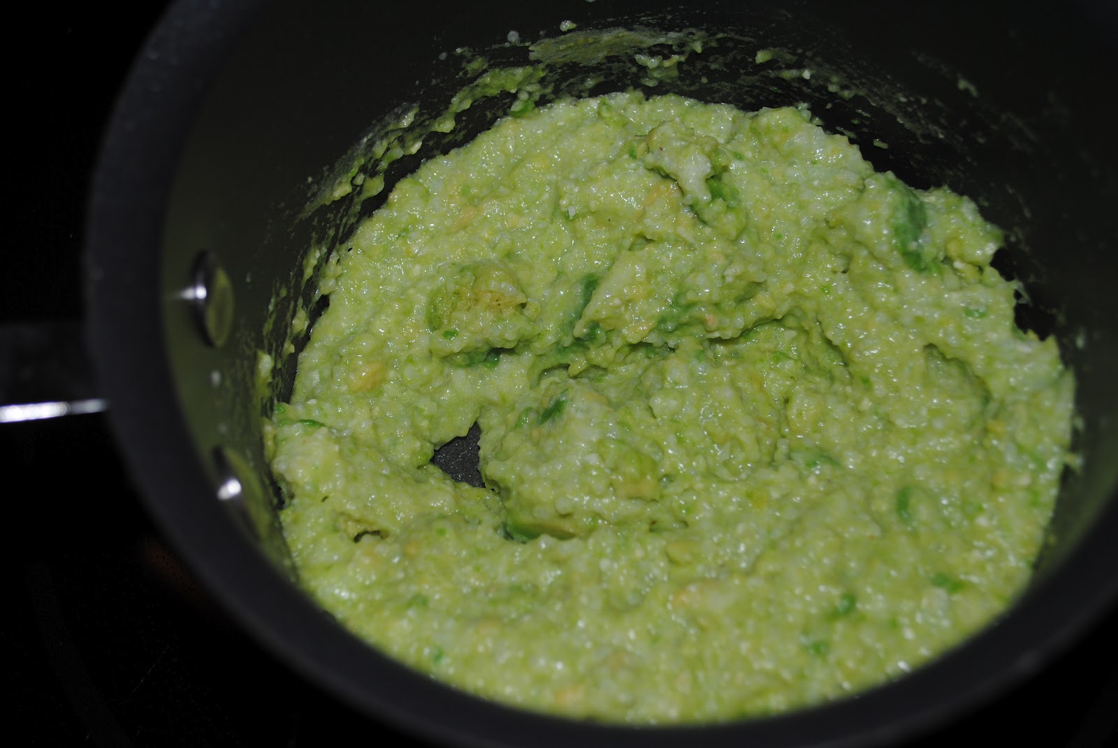 Sumo and Chandler's Spaghetti Head Blog Avocado Grits