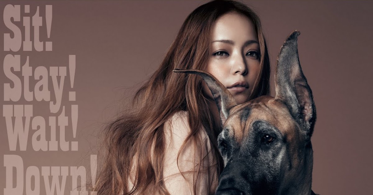 Namie Amuro News Area 'Sit!Stay!Wait!Down!/Love Story' Single cover