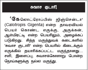 suvaasa kudaari, aalmiratti, erukku sedi powder - sidha marundhu, ilaippu, suvaasa kolaru, sali noikku nalla marundhu