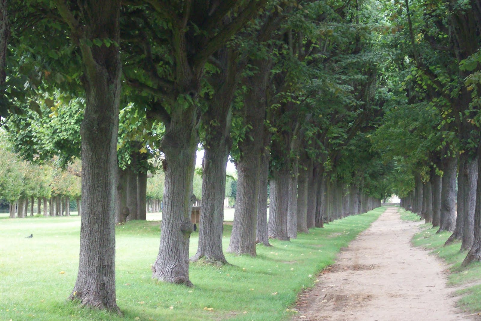 Histoire d'art MEUDON ses Châteaux, l’Avenue du Château, le Potager