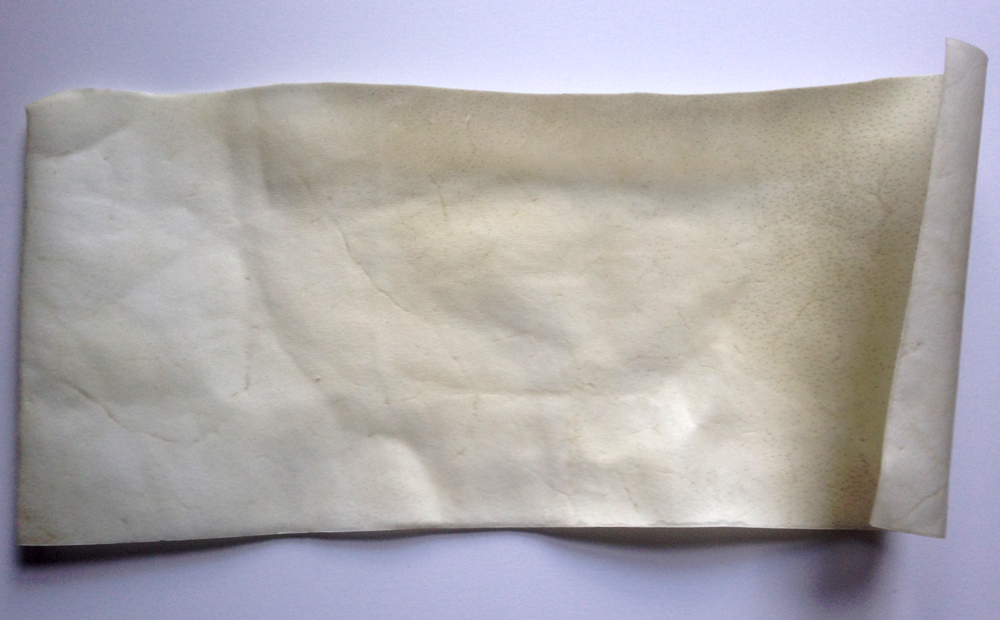 Dianne Sutherland Blackberries on Natural and Kelmscott Vellum