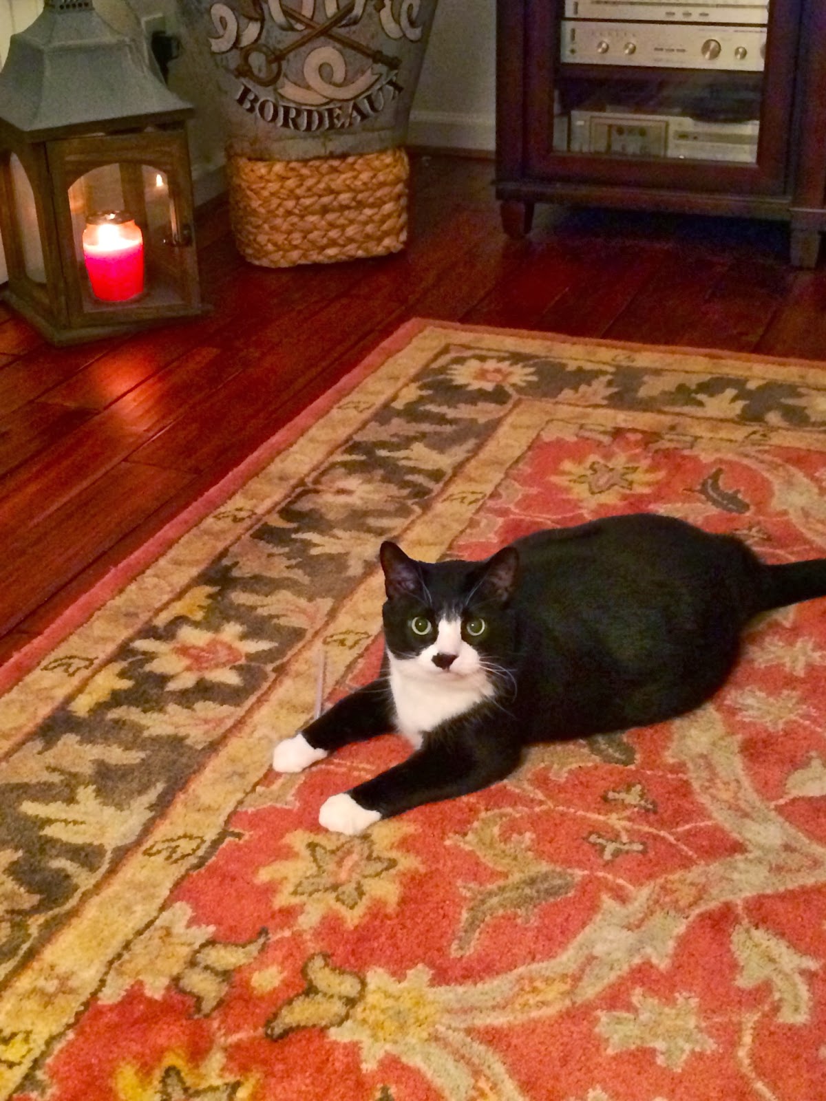 From Captain S Daughter To Army Mom Back To The Pottery Barn Outlet