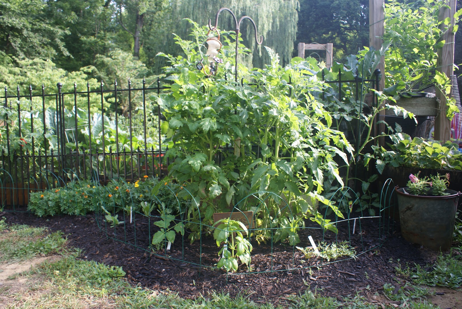 The Ebullient Gardener May 2012