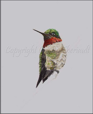 miniature bird painting in progress by wildlife artist Colette Theriault