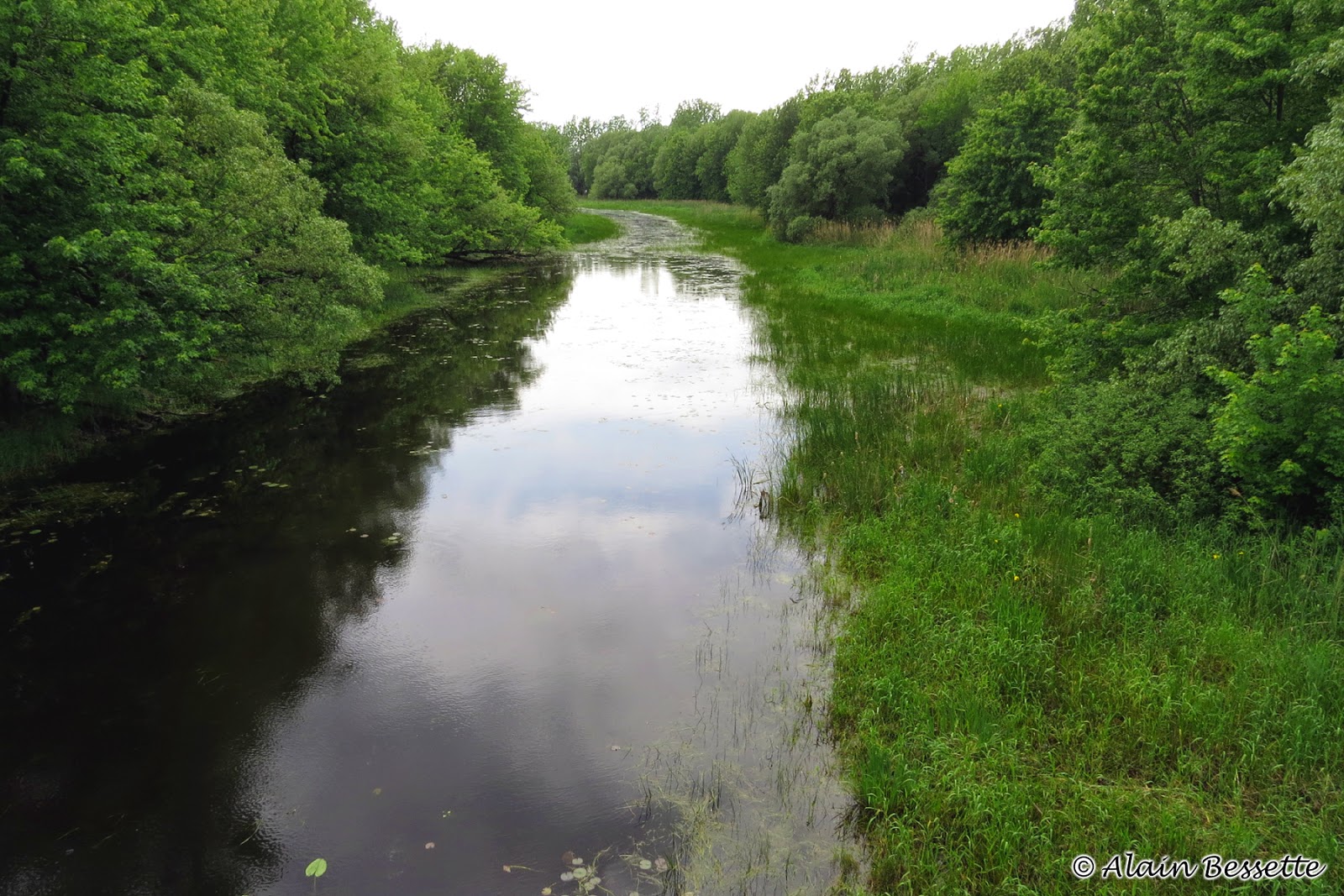 Club des ornithologues de Châteauguay Le ruisseau SaintJean à Châteauguay