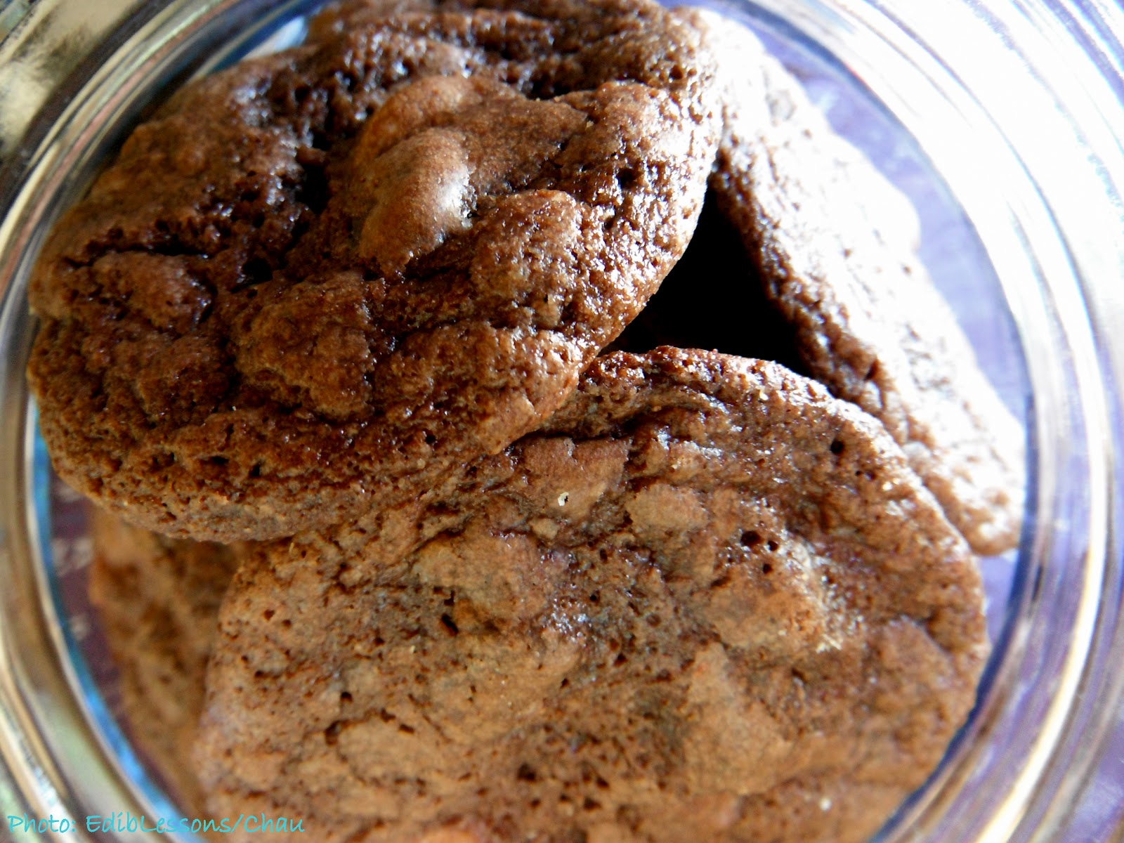 EdibLessons Learning What's Edible Buttermilk Chocolate Cookies