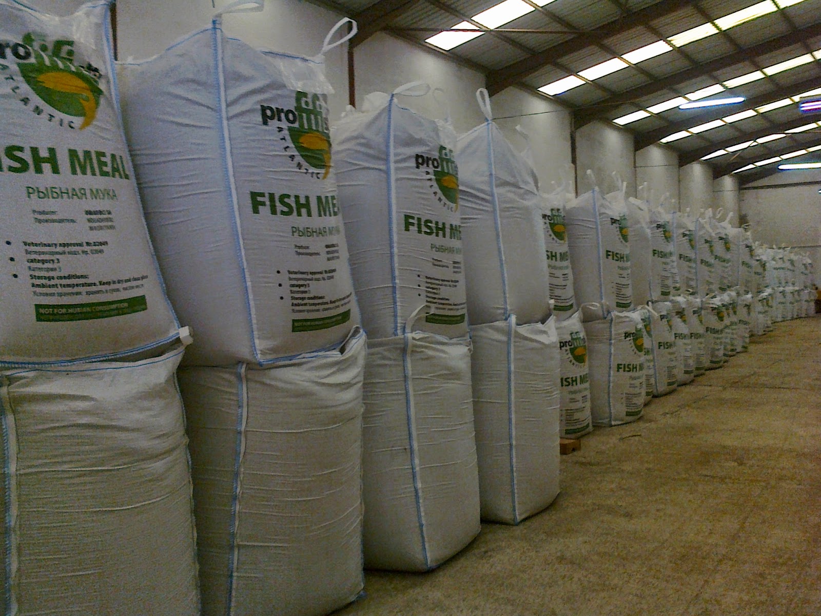 The Aquaculturists 19/11/2014 Fishmeal Peru and Chile set to lose