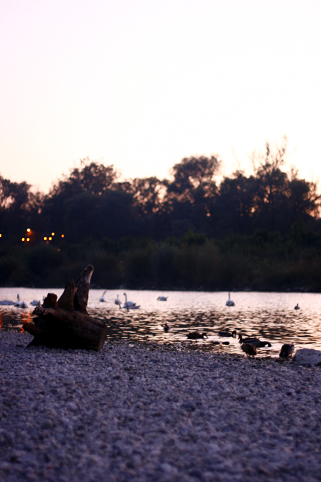 Koi Pond Von Cloudchord Soul Food Horns Der Chill Hop