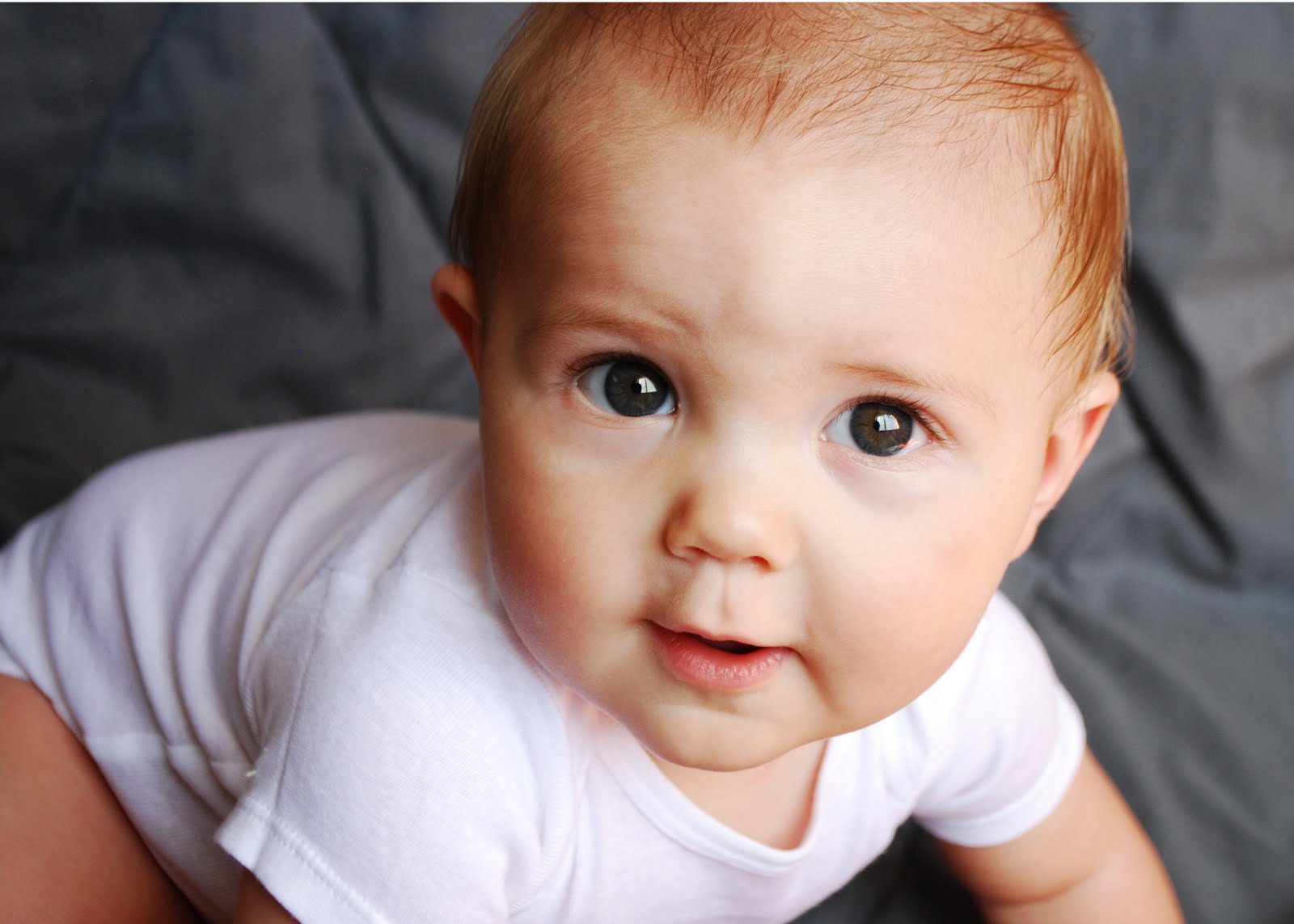 The Stebbins Family Shadoe & Vanessa Our Eight Month Old Big Baby Boy!