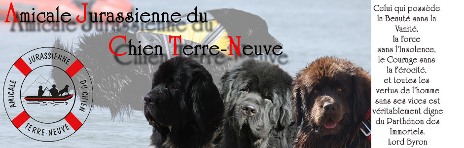 Amicale Jurassienne du Chien Terre Neuve