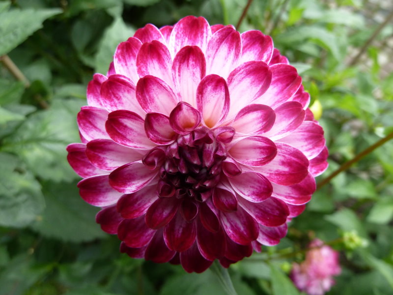 Kappstrom De Gosen Neu Zittau Blog Page 18 Chan 9758902