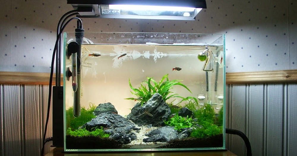 aquascape air laut mini inilah 10 ide kreasi untuk membuat mini aquascape ikan aquascape air laut mini inilah 10 ide kreasi untuk membuat mini aquascape ikan