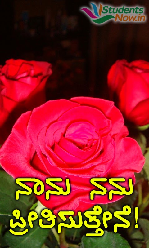 ... kannada wallpapers latest kannada font quotes i love you in kannada