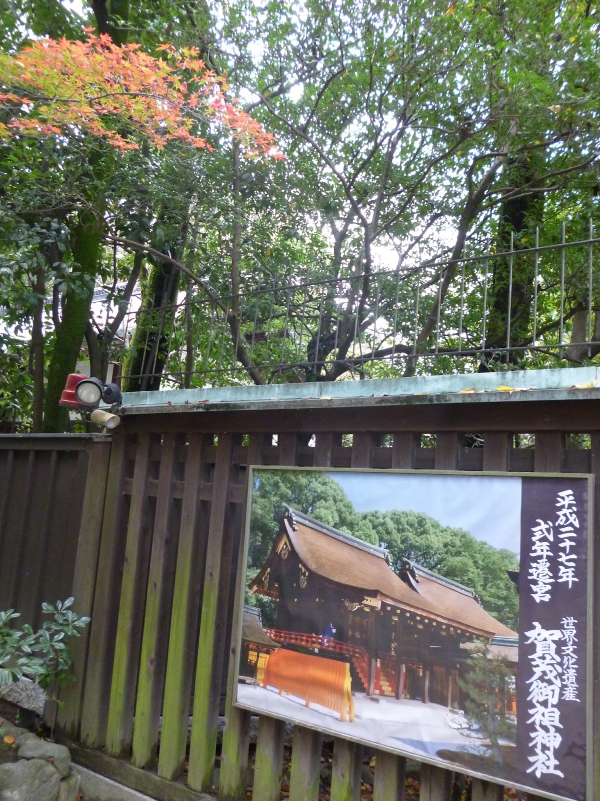 シニアの映画レビュー 15