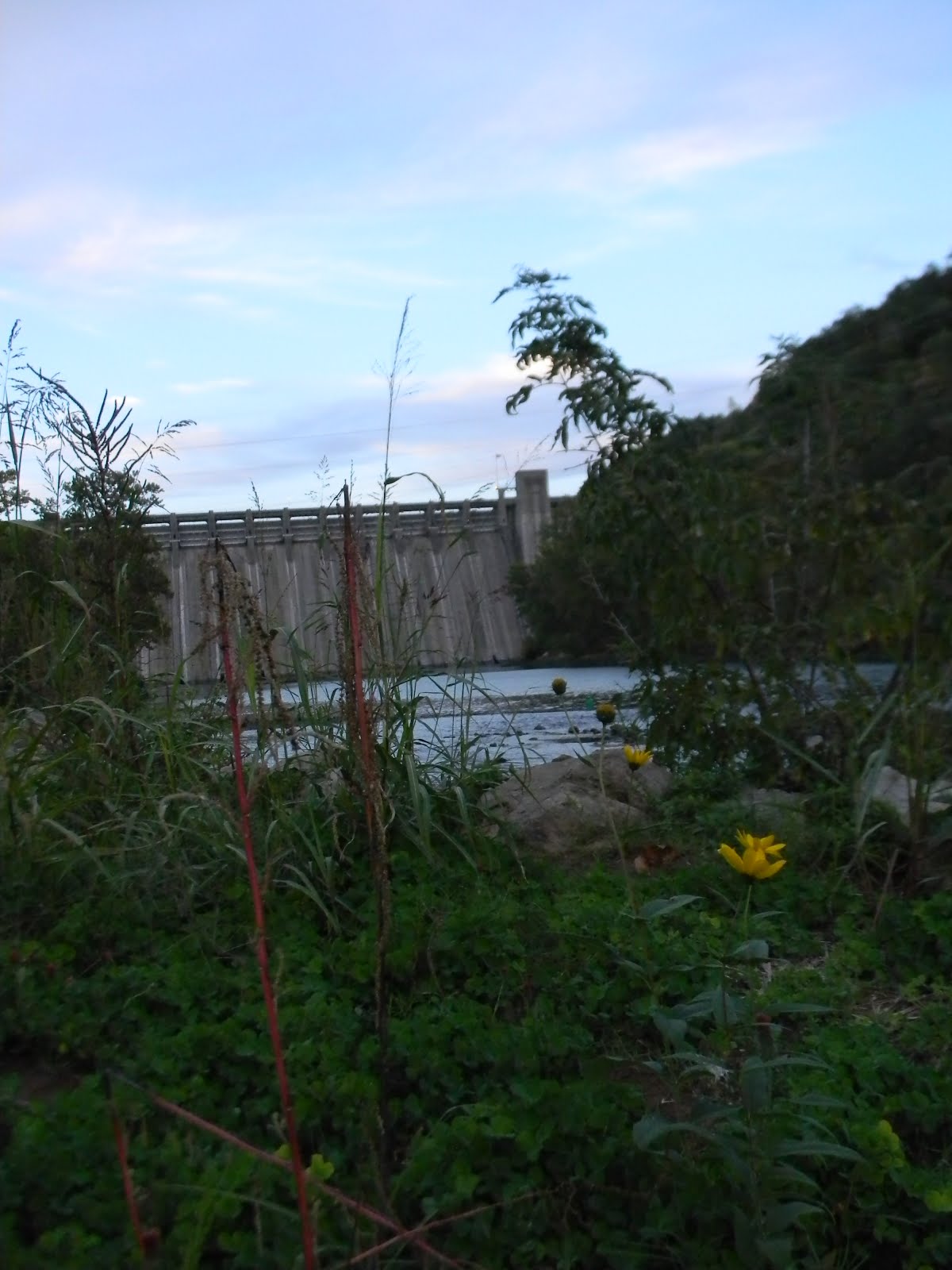 A Little Lamb's Thoughts Camping Norfork Dam Quarry