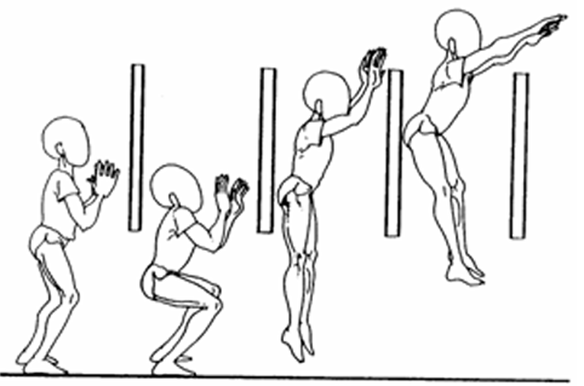 Tipos De Saque En El Voleibol Wikipedia Voley I 2015