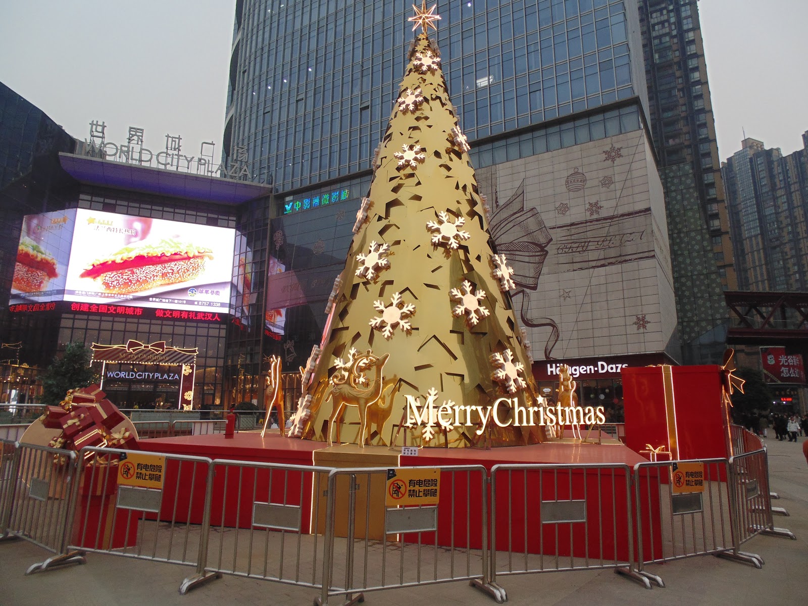 2015: My First Chinese Christmas!