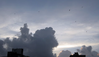 Clouds, Sky ,Sun, Evening, Scene