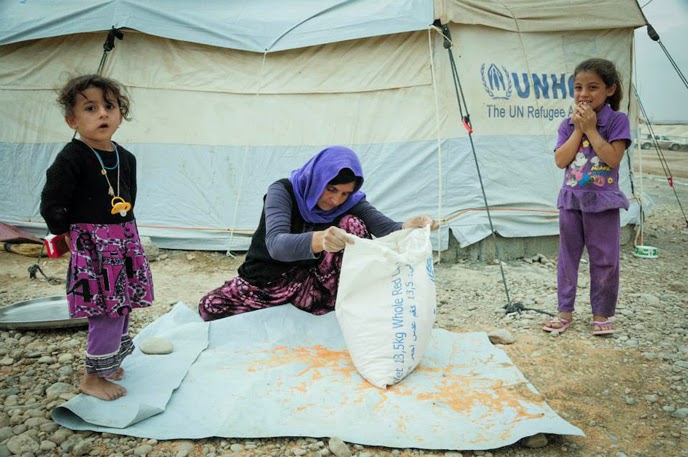 Israel ajuda minorias cristã e yazidi refugiadas do ISIS Israel ajuda minorias cristã e yazidi refugiadas do ISIS