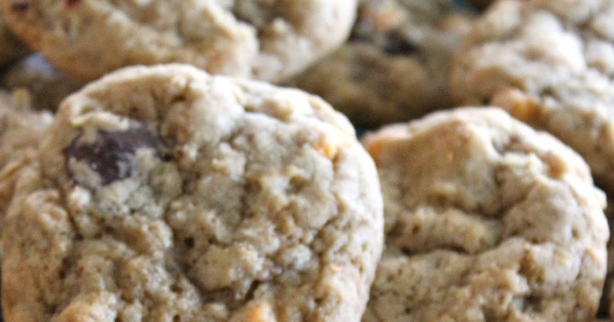 Baked Perfection Lactation Cookies Oatmeal Chocolate Chip