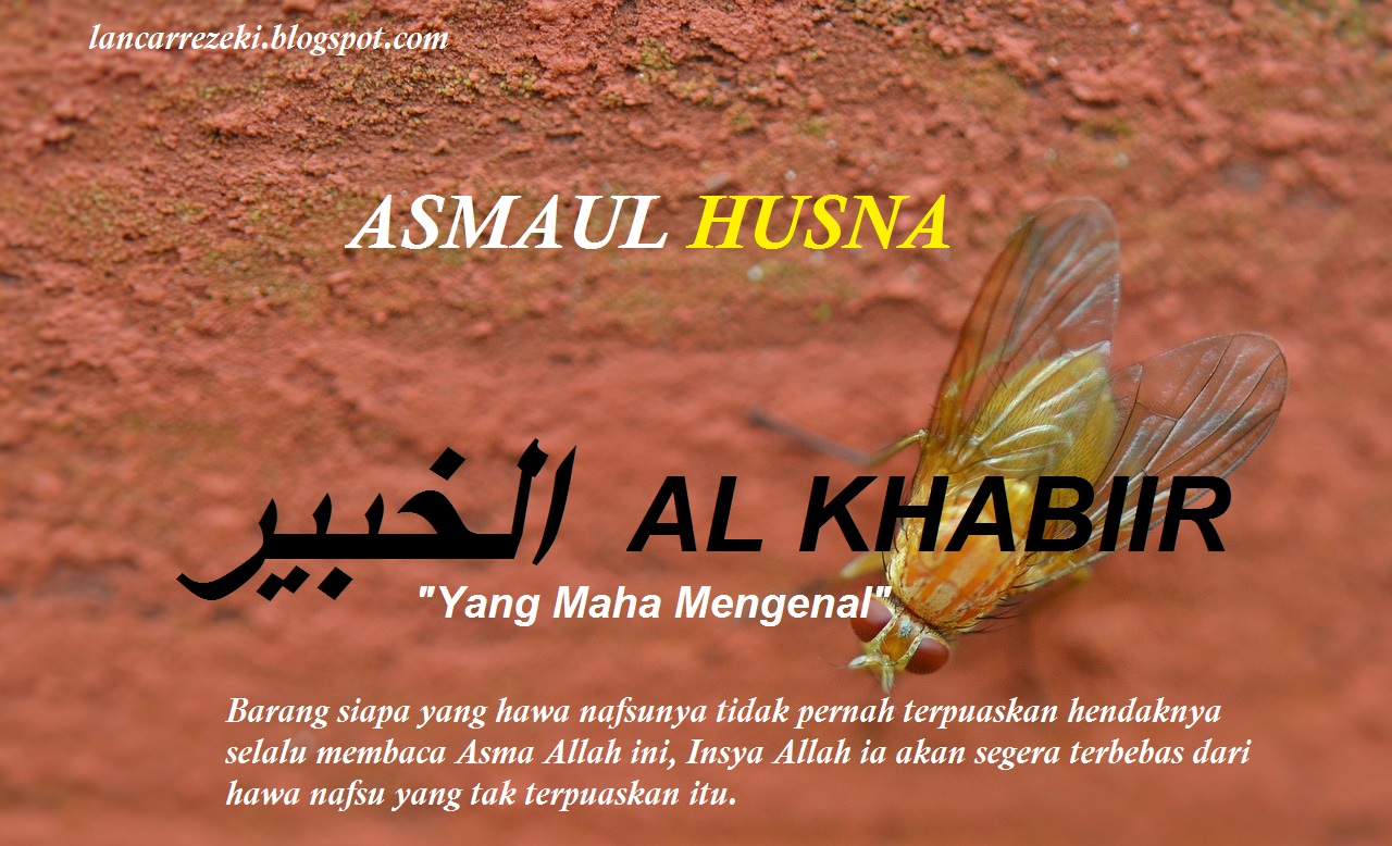 Menarik Rezeki dengan Asmaul Husna (4)