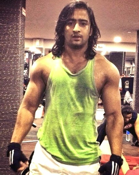 shaheer sheikh muscle muscular