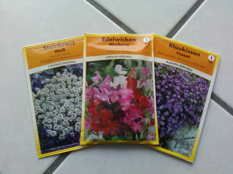 Terrassen Und Balkonbepflanzung Meine Pflanzen Fur Die Pflanzringe