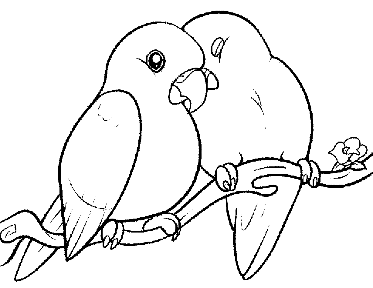 Gambar Mewarnai Jerapah Lucu Kaligrafi Kartun Hewan Diwarnai Burung Love