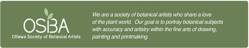 Ottawa Society of                  Botanical Artists