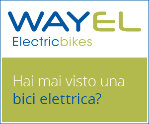 Scopri le bici elettriche Wayel !