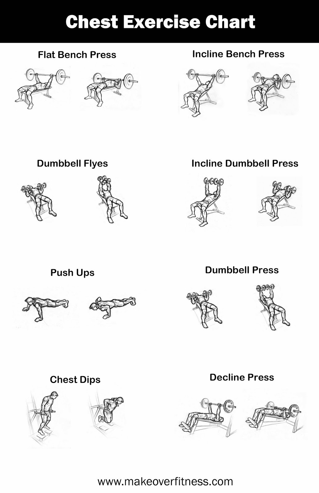 bodybuilding amp fitness cheast exercise info photo bodybuilding workout chart pdf with images