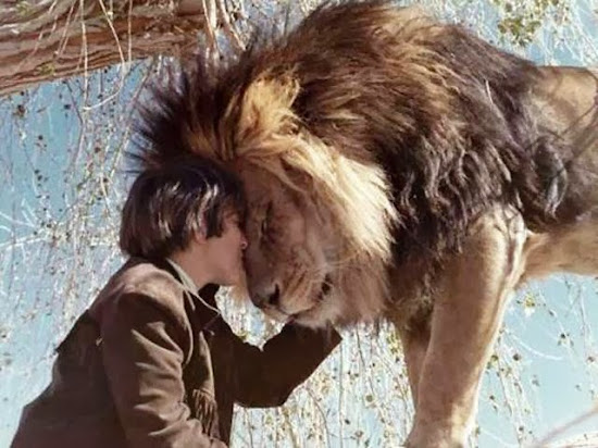 When Humans and Animals Get Along