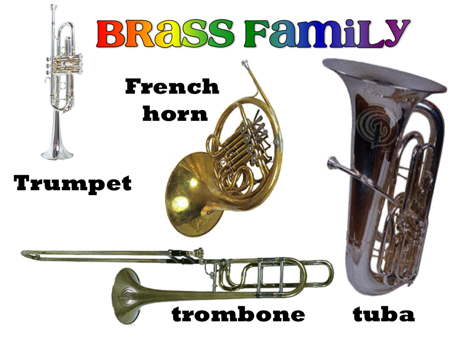 Orchestra Pictures TECHNOLOGI INFORMATION