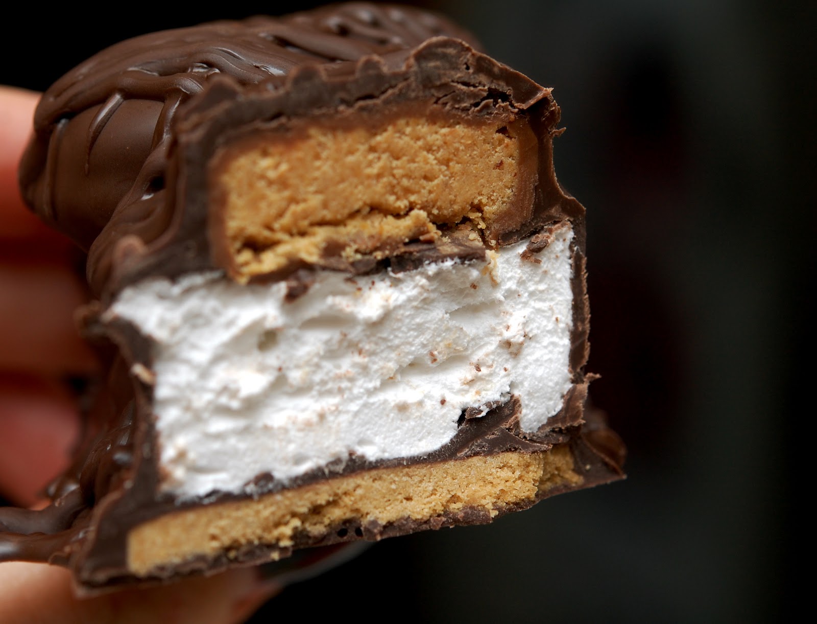 GLUTEN FREE CHOCOLATE DIPPED GRAHAM CRACKERS STUFFED WITH MARSHMALLOWS