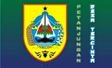 DESA PETANJUNGAN PETARUKAN PEMALANG