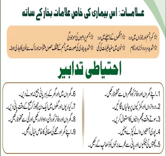 Dengue virus pakistan essay