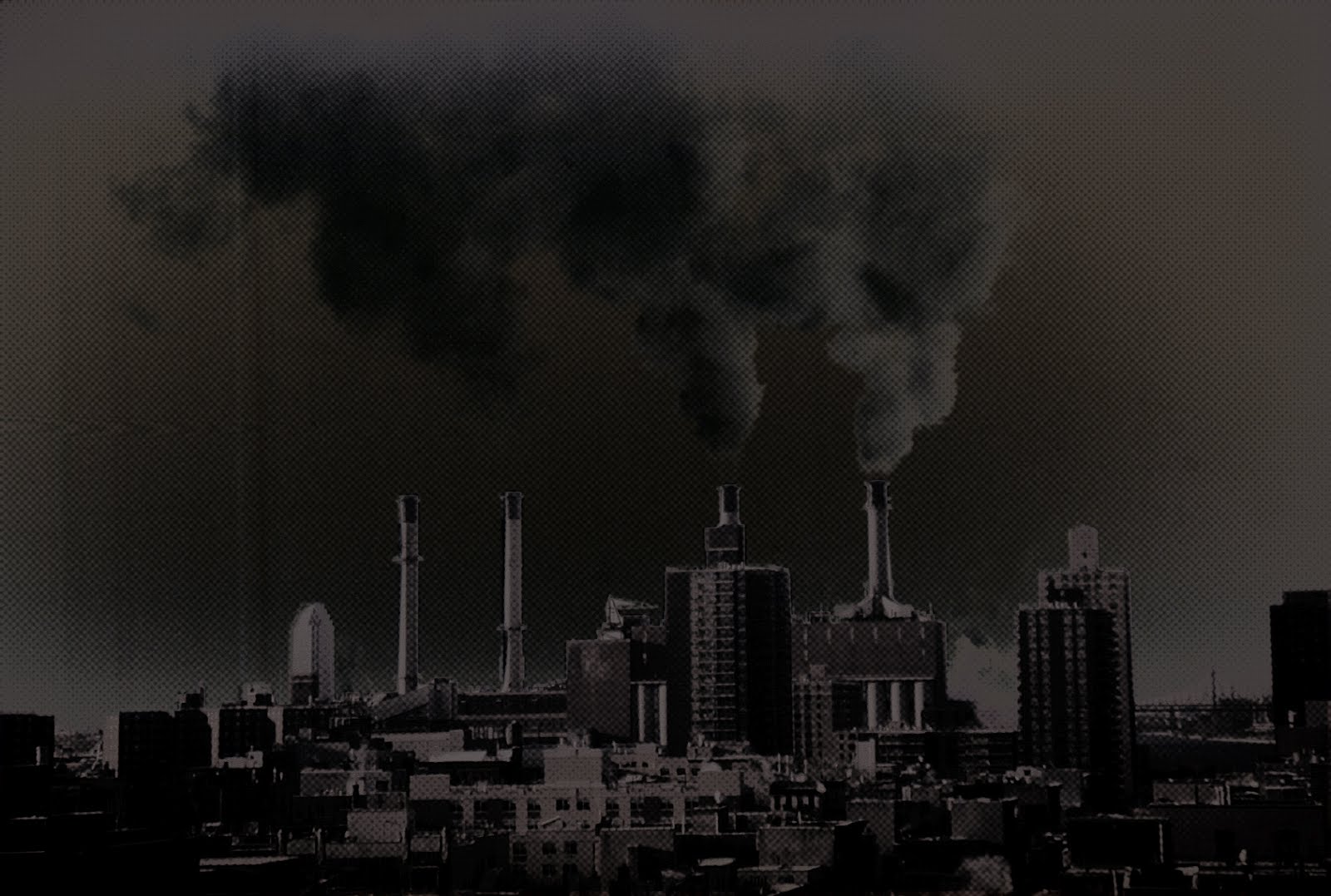 smoked city by anitam.com