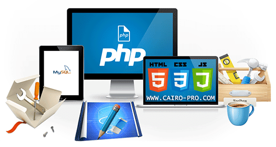 WEB-DEVELOPER WEB-DEVELOPER