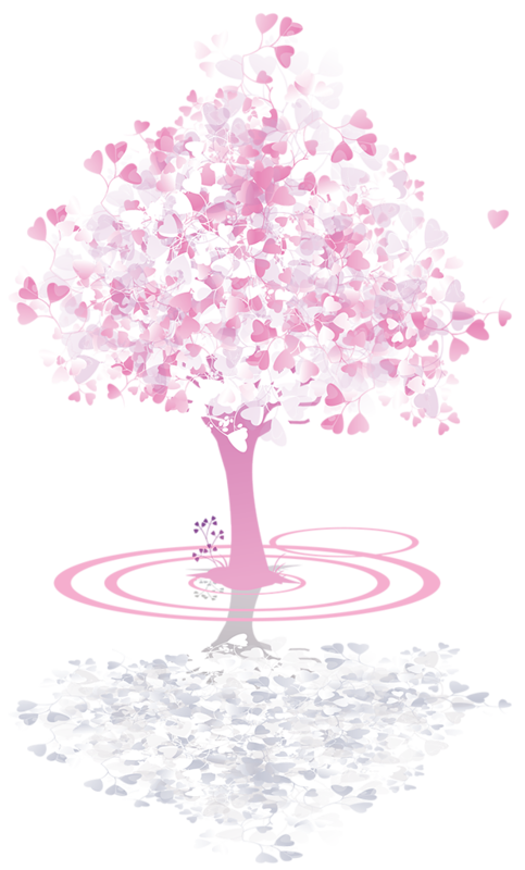 ForgetMeNot: spring cherry trees
