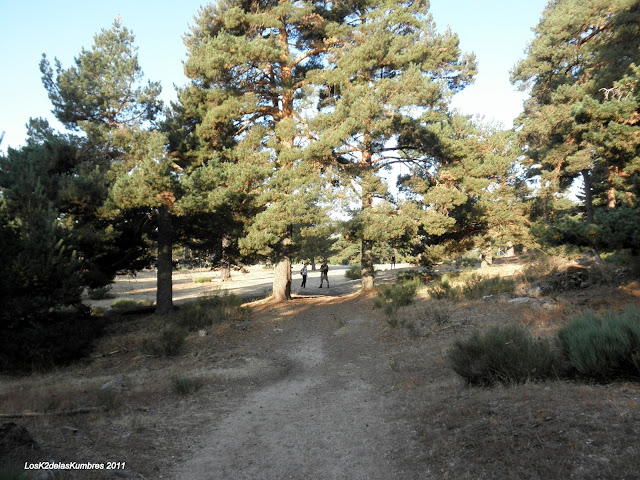 Pradera de Navarrulaque hacia el Majalasna