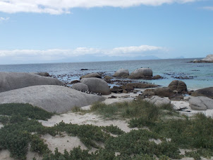 "BOULDERS BEACH" so named because of the Boulders on the beach.